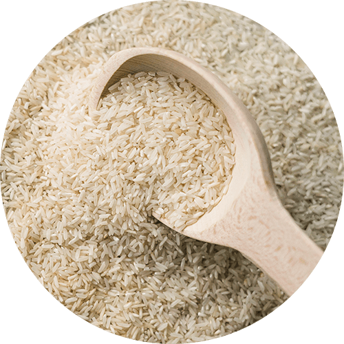 arroz